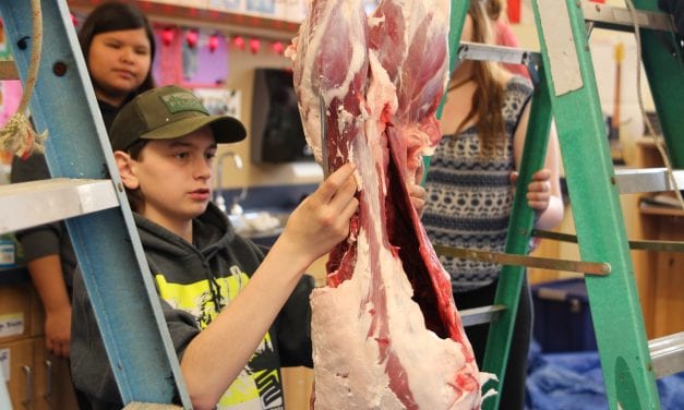 Students get ‘hands-on’ experience with subsistence