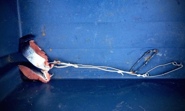 Expo to mark end of fishing season