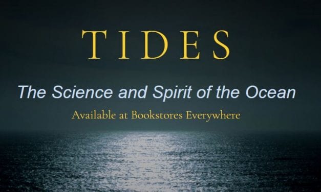 A Kalinin Bay mishap prompts a decades-long study in ‘Tides’