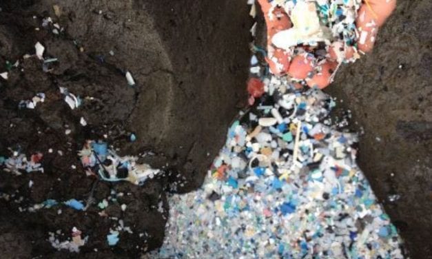 EPA awards grant for microplastics research to Sitka Tribe of Alaska