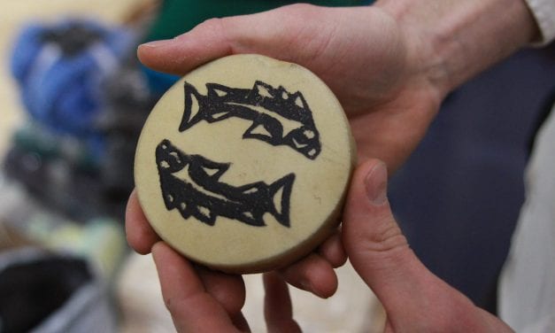 Outcome of Board of Fish decisions on Southeast salmon, herring