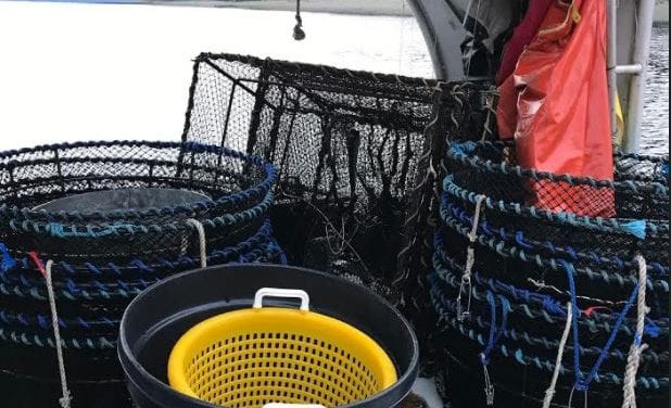 Board requires daily bag limits for subsistence shrimp harvest