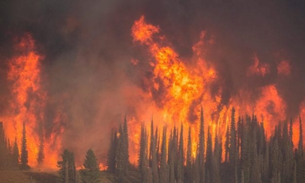 Forest Service: Fighting Lower 48 wildfires is hurting the Tongass