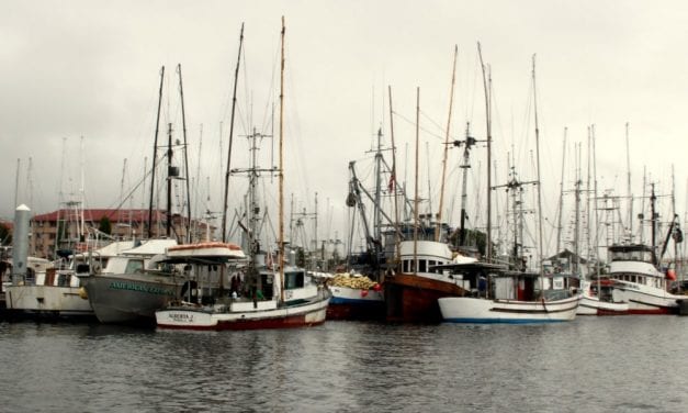 Watch: Chinook Salmon Symposium