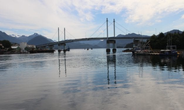 Mother and yearling brown bear euthanized in Sitka