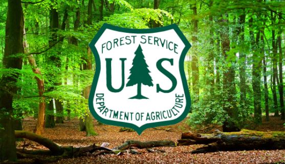U.S. Forest Service Chief resigns amid sexual misconduct allegations