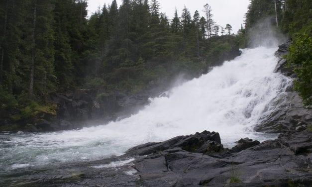 Denied three times, Juneau resident still hopes for Baranof hatchery