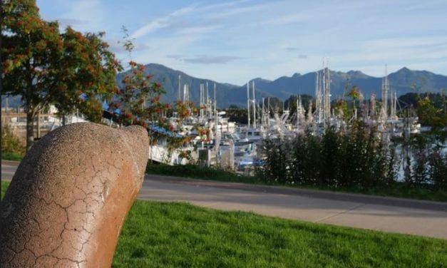 Some of Sitka’s municipal landscape to get a more natural look