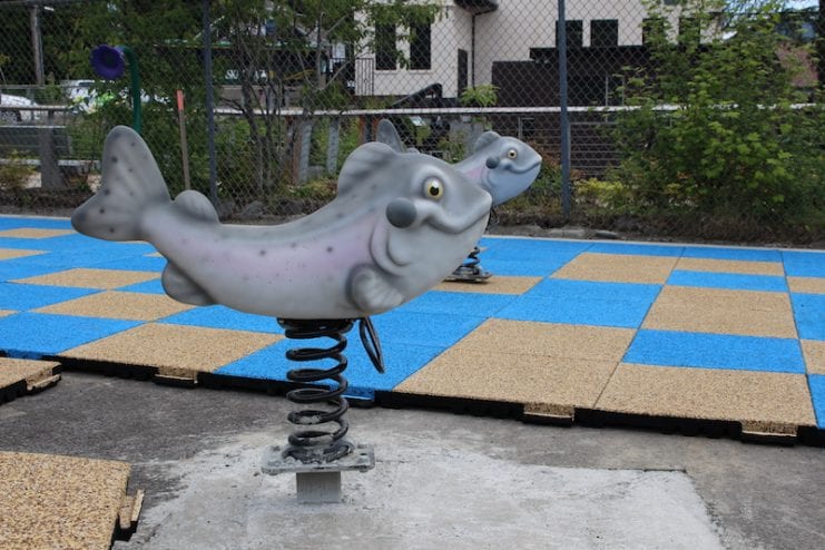 Spring-mounted salmon riders.