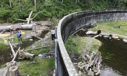 At Fortess, a new wild space for black bears