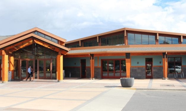 ‘Advisory vote’ replaces ‘public vote’ on land disposal