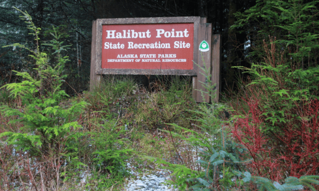 State hires caretaker to resume management of Sitka parks