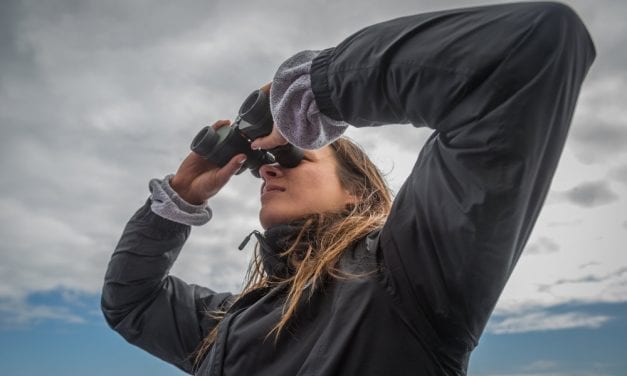 The Sitka Arts and Science Festival with programming for adults