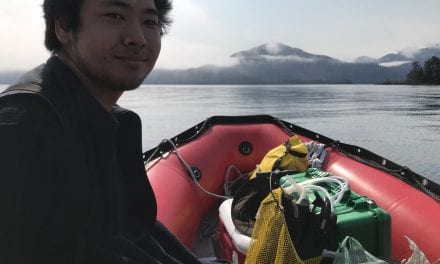 Counting critters in the kelp forest