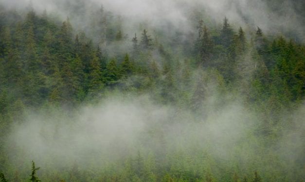 Murkowski urges collaboration in new ‘roadless’ policy for the Tongass