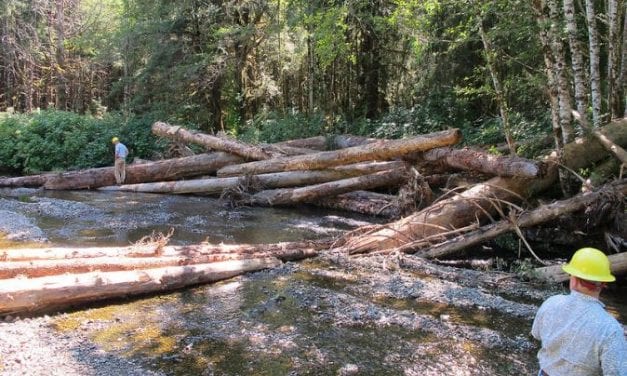 Concerned about process, Sitkans push back on new roadless proposal