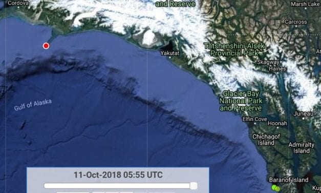 Sitka sea lion hits the westward trail