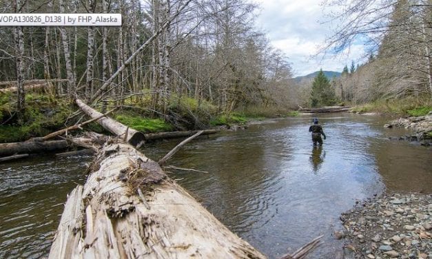 ‘Integrated’ research merges human experience and fisheries science