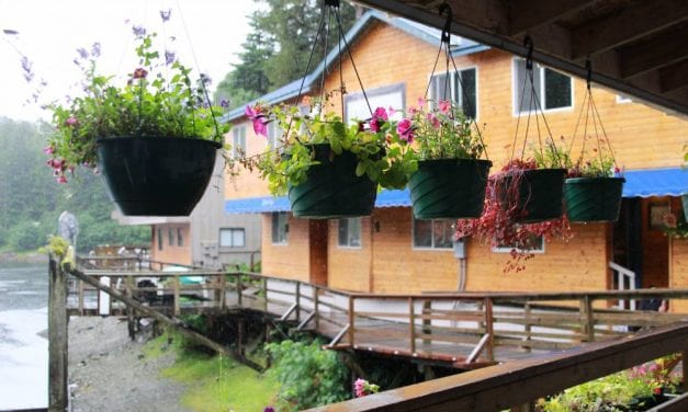 2022 Community Elections: Elfin Cove