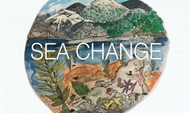 Episode 4: Weather Patterns