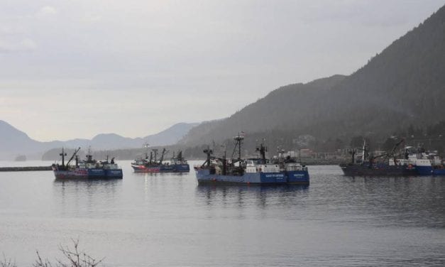 Seiners still waiting for fishery to open