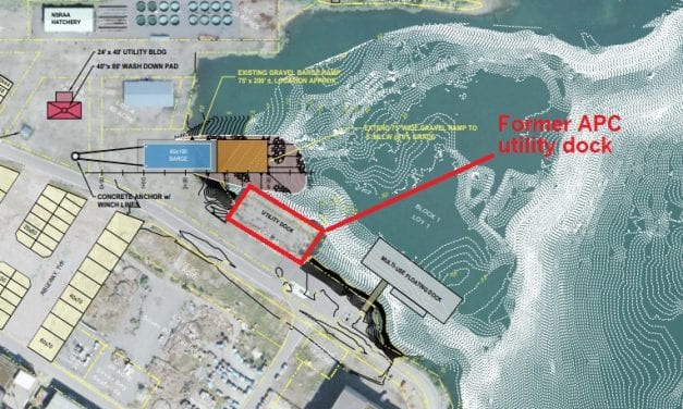 Assembly shores up contract for utility dock sale