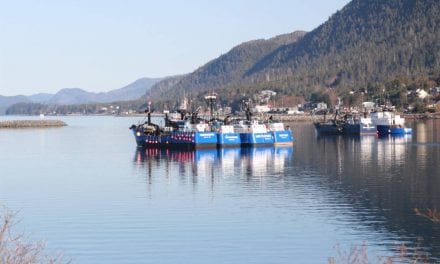 Seiners explain decision to stop test fishing