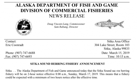 Herring fishery goes on two-hour notice this Sunday