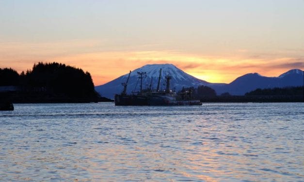 Aerial surveys start earlier Wednesday as fishery remains on notice