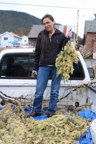STA Cultural resources coordinator Tammy Young poses with "the most beautiful branch" of herring eggs collected early Friday. She said the harvesting and distribution of herring eggs are the best parts of her job. (KCAW photo/Enrique Pérez de la Rosa)