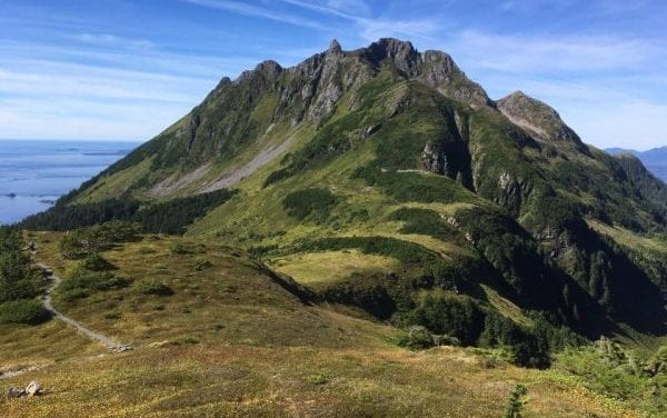 Search team rescues boy on Harbor Mountain