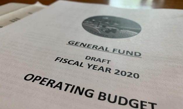 Assembly calls for cuts to city travel, electric fund