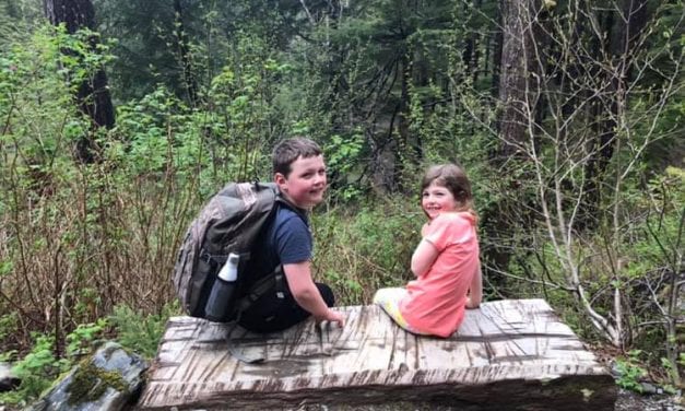 Family encounters aggressive bear on Heart Lake Trail