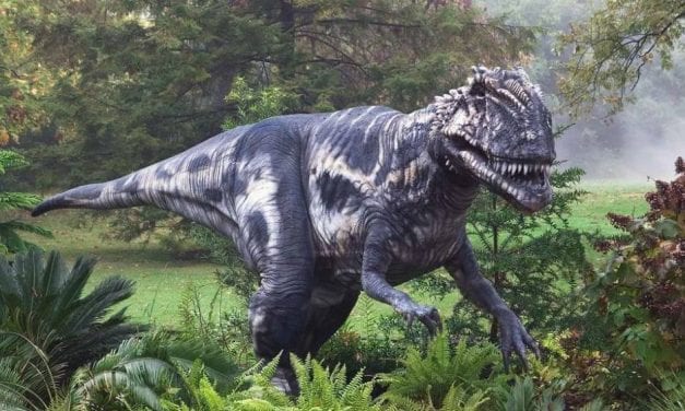 Sitka’s Problem Solvers take on de-extinction at international event