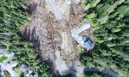 Research team scouts locations for Sitka landslide warning system