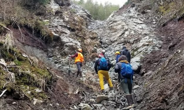 New research: Southeast Alaska landslides not only scar the land, but may also leave a carbon footprint