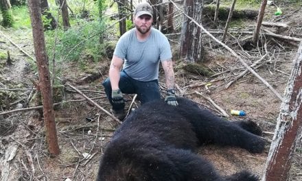 Bears try to move in, Angoon sets boundaries