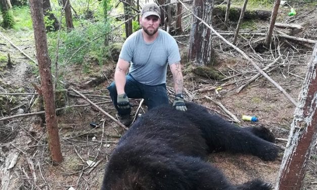 Bears try to move in, Angoon sets boundaries