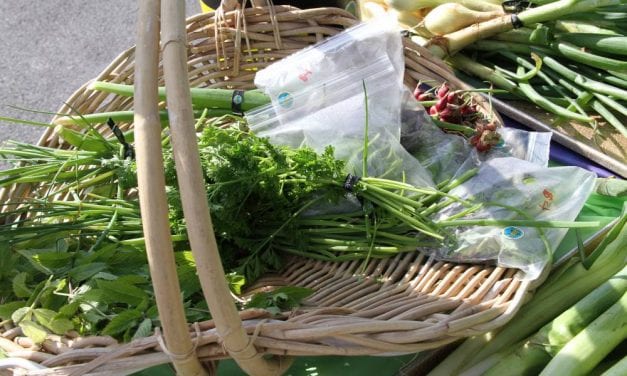 Sitka farmer’s market returns for the summer season