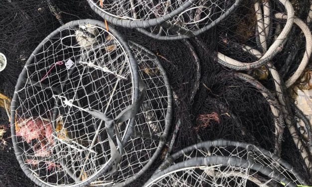 Researchers look to reduce ‘ghost fishing’ in Alaska