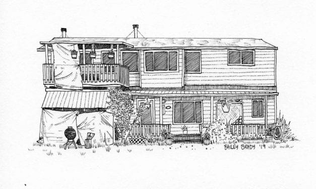 Sitka artist studies humans by drawing their homes