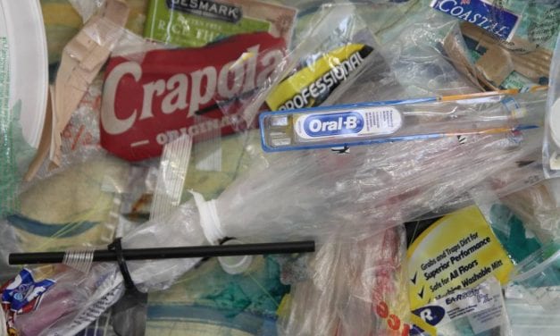 Voters to consider plastic bag ban this fall
