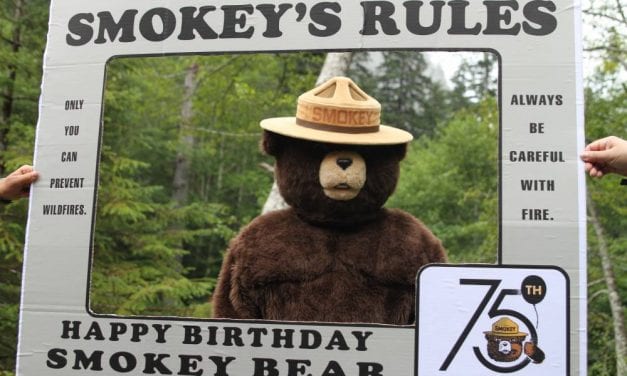 CorvidEYE: Smokey celebrates 75 years