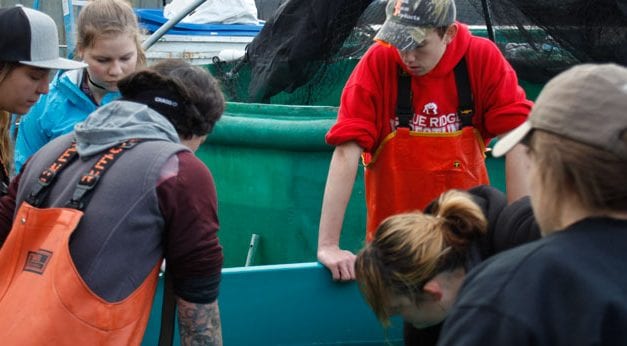 Salmon Culture Semester incubates young talent