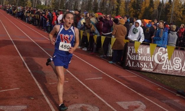 Wolves, MEHS run well at state XCountry