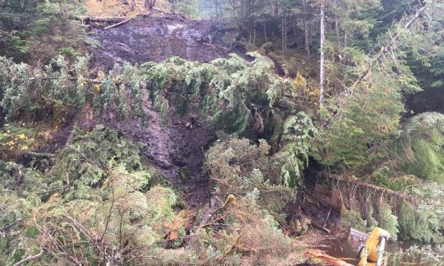 Name released in fatal excavator accident