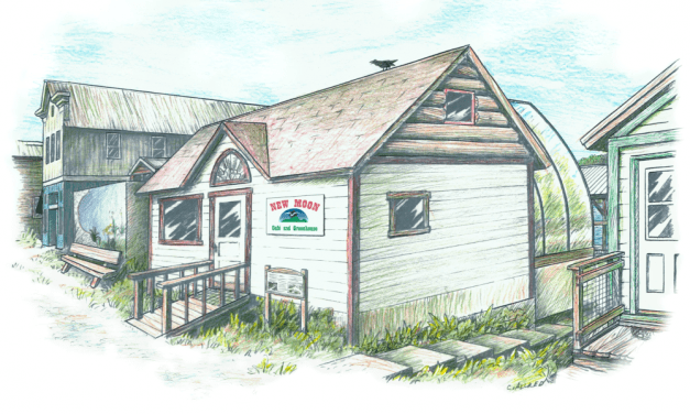 Rebuilt cafe, new community greenhouse springing up in Tenakee