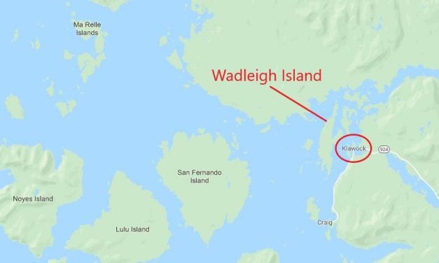 Flicked Bics help hunters in a fix