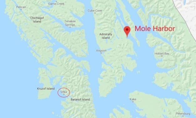 Hunters safe after an unplanned night out