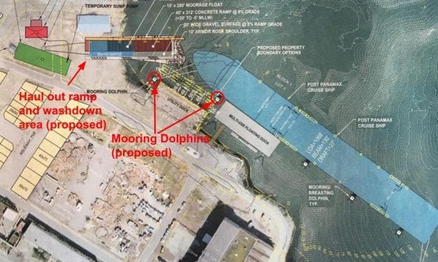 Park board shelves large ship plan in favor of utility dock sale